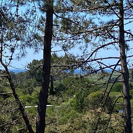 Maison Architecte Bois Du Kador A Morgat Crozon Luaran gambar