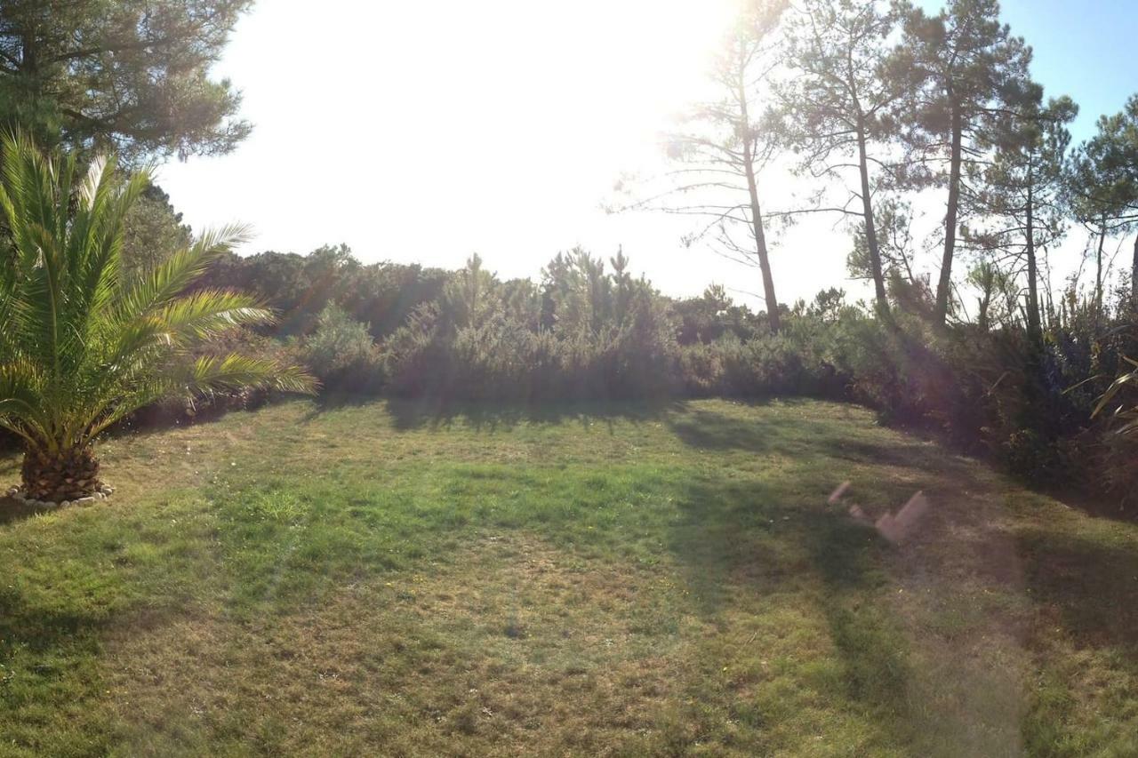 Maison Architecte Bois Du Kador A Morgat Crozon Luaran gambar