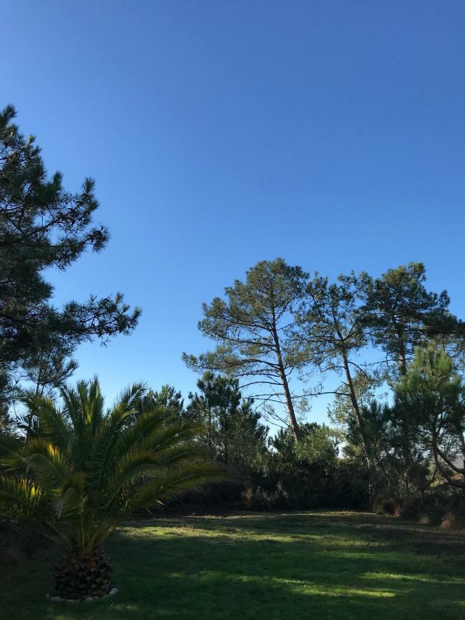 Maison Architecte Bois Du Kador A Morgat Crozon Luaran gambar